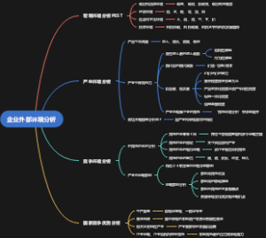 企业外部环境分析