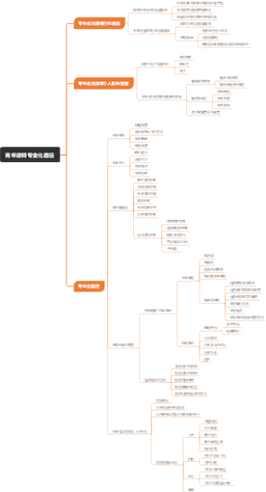 青年律师专业化路径
