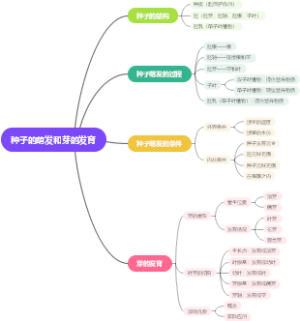 种子的萌发和芽的发育