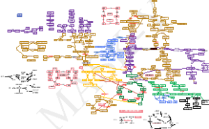 生物化学-动态生化代谢导图（生物氧化、糖代谢、蛋白质代谢、脂代谢、核酸代谢汇总）