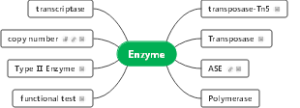 Lifescience _ Enzyme