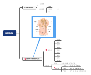 系统解剖学——内脏系统总论