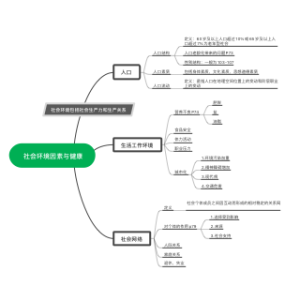 第五章社会环境因素与健康