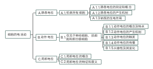 生理学静息电位