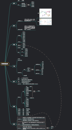 思维导图应用（分享）