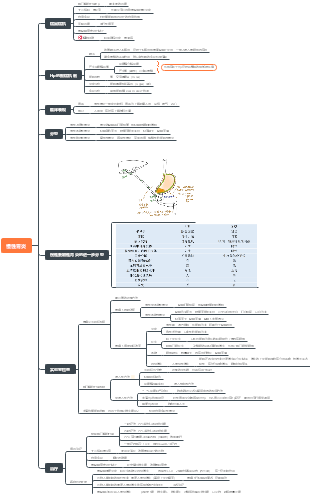 急性胃炎思维导图图片
