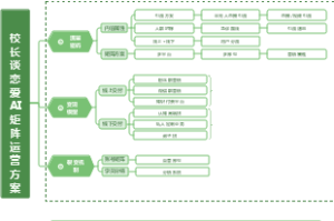 抖音情感账号AI矩阵运营方案