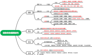 生物体的细胞结构