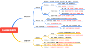 生命活动的调节