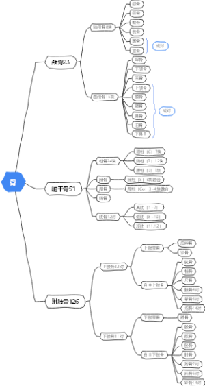 骨骼分布