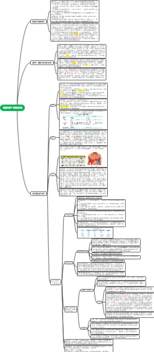 胸部检查-呼吸系统