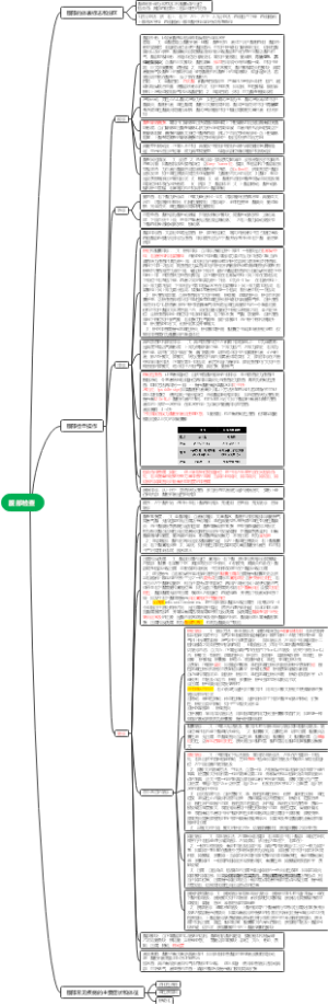 腹部检查