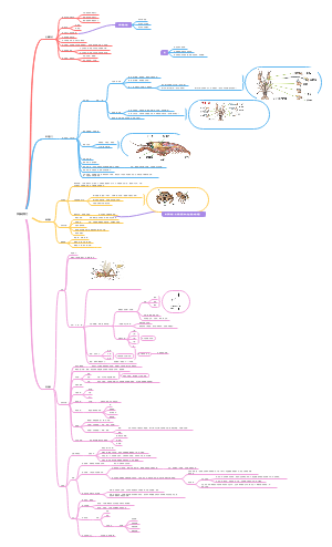 节肢动物门思维导图