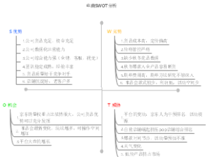 电商SWOT分析