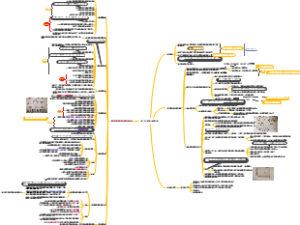 组织结构的基础