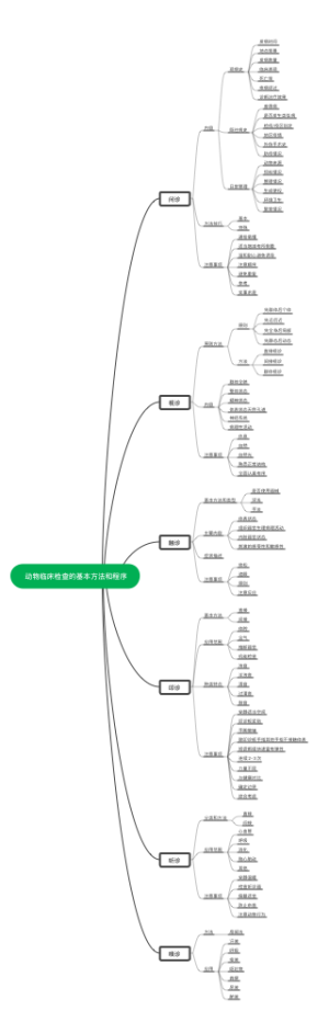 动物临床检查的基本方法和程序