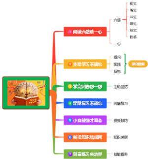 学习的黄金法则