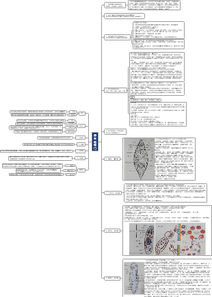 思维导图社区-海量模板在线使用