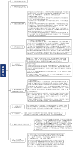动物进化