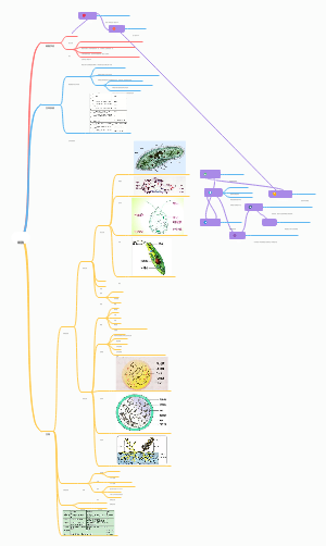 细胞思维导图笔记