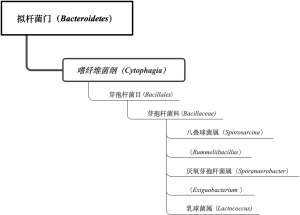免培细菌2级a图