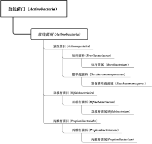 免培细菌2级d图