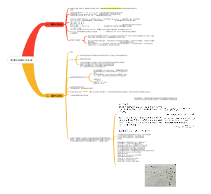 国际金融学第二章 即期与远期外汇交易