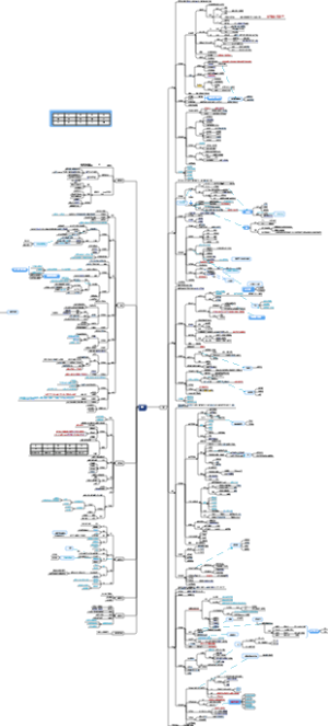 3藏象 中医基础理论  学霸笔记  中医考研