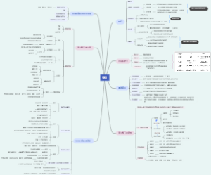 非政府组织—导论