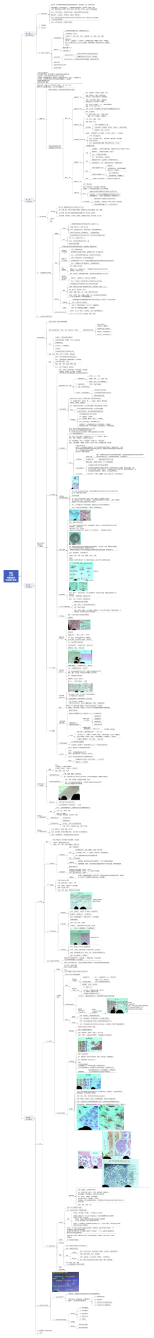 组织学与胚胎学（组织学绪论、上皮组织、结缔组织、骨与软骨）