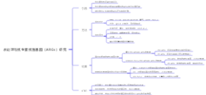 水处理与抗生素抗性基因（ARGs）研究