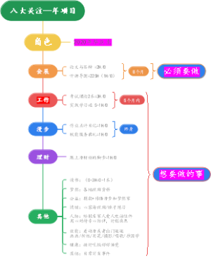 八大关注及其项目和年度目标导图