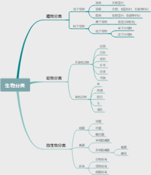 初二上生物分类思维导图