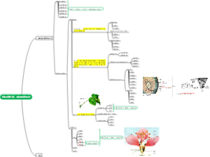 初中生物第二章：：物体的结构层次导图