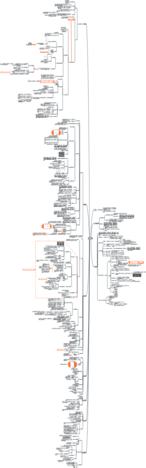 从零开始运营导图