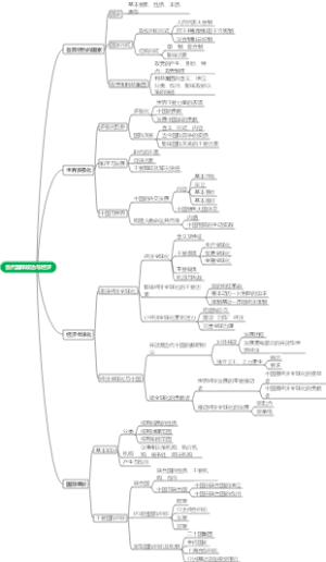 当代国际政治与经济高考思维导图