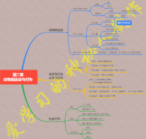 动物的运动与行为思维导图