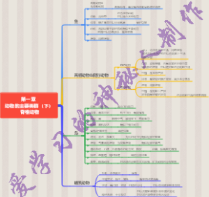 动物的主要类群（下）脊椎动物思维导图
