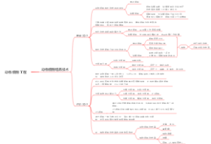 动物细胞培养知识思维导图