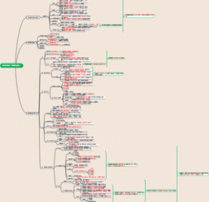 工程项目融资思维导图