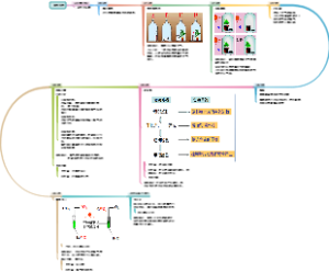 光合作用的探究历程思维导图