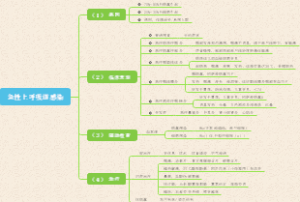 呼吸道感染思维导图