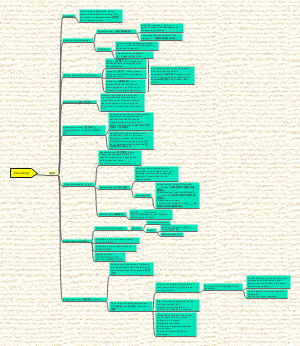Phonology