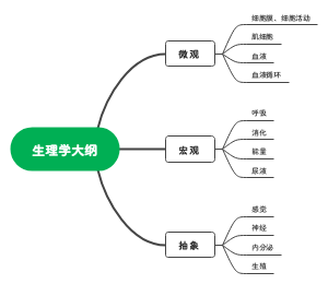 生理学大纲