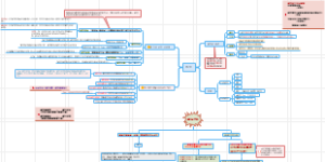 普通心理学感觉知识总结