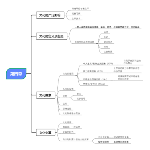 国际市场营销学 第四章 全球市场评估中的文化因素