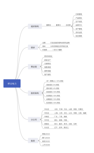 桥议电力