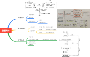 高中生物部分激素调节