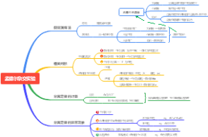 孟德尔2
