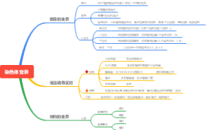 染色体变异